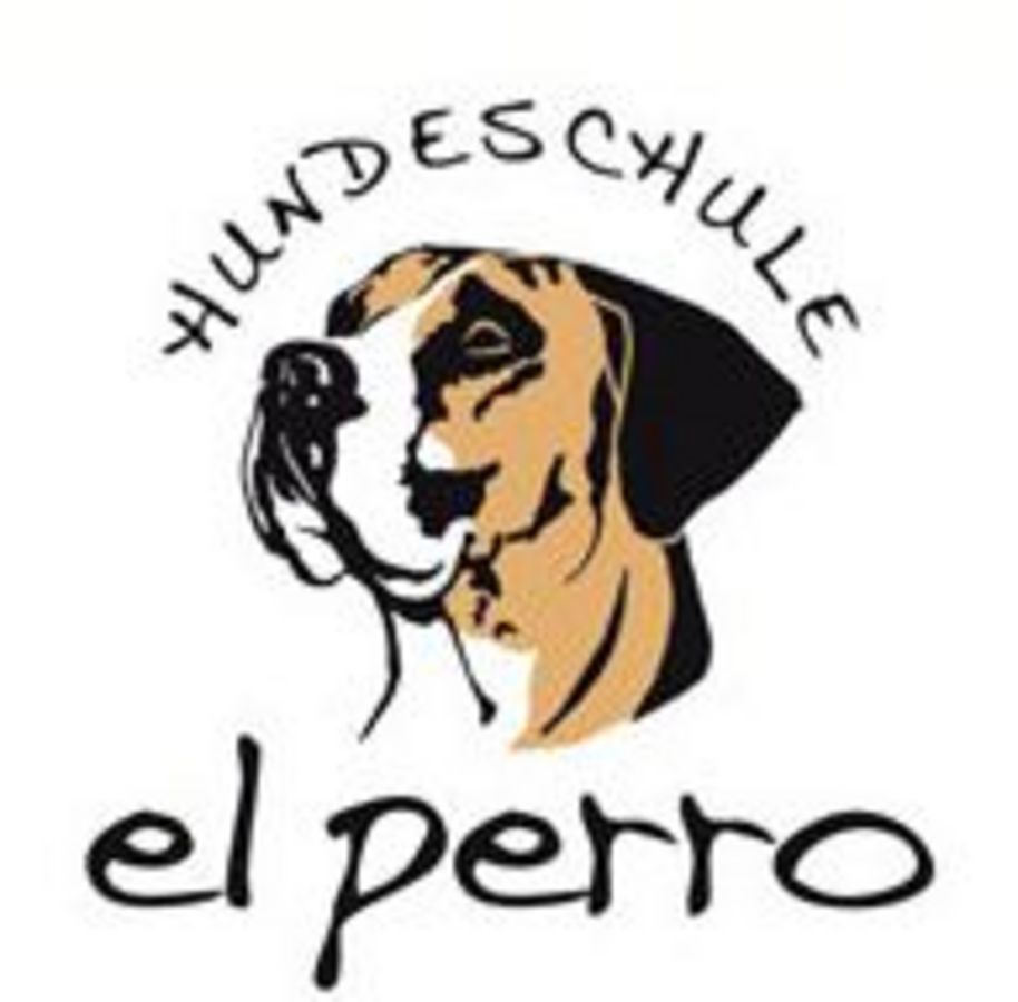 el perro - Hundeschule